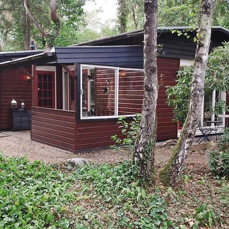Bosbungalow de Eekhoorn Nunspeet Buitenkant foto