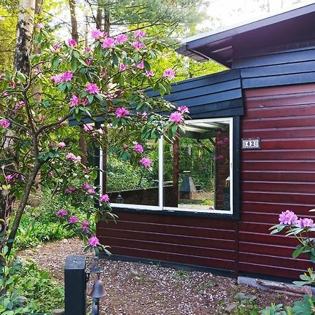 Bosbungalow de Eekhoorn Nunspeet Buitenkant foto