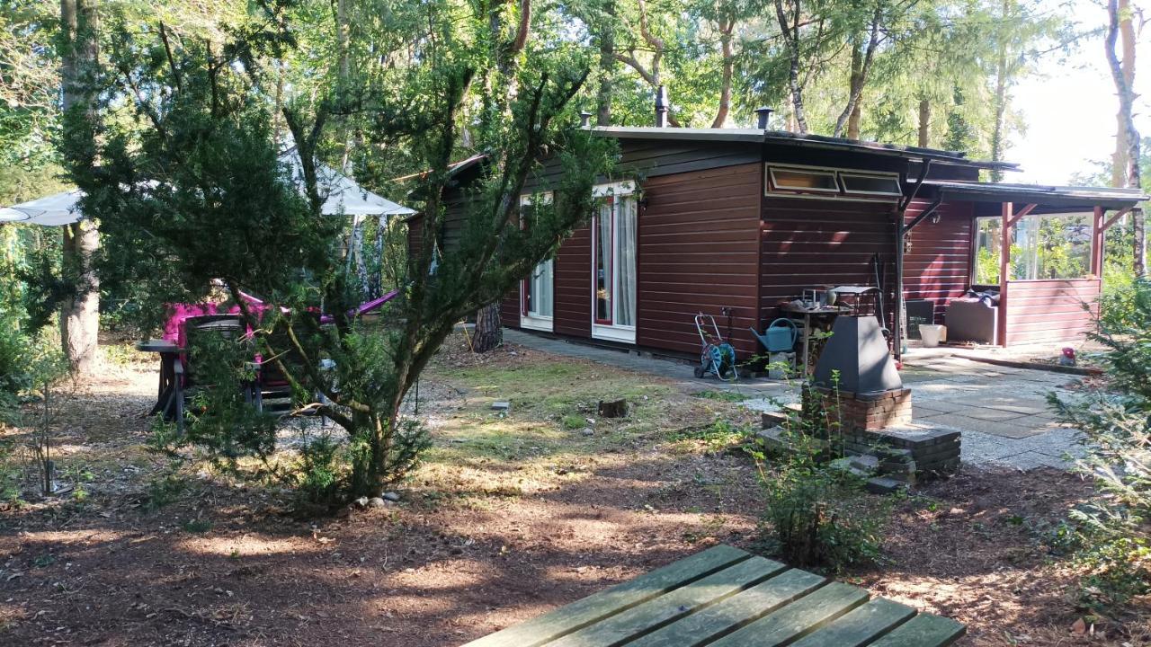 Bosbungalow de Eekhoorn Nunspeet Buitenkant foto
