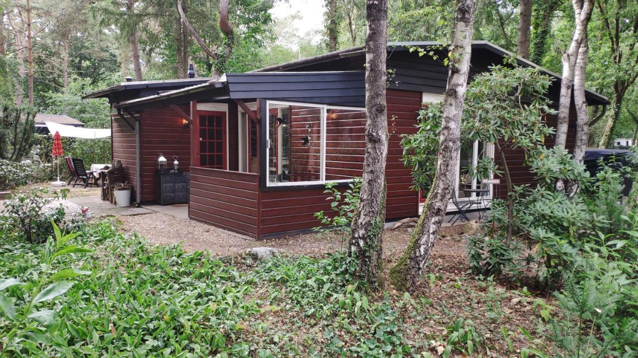 Bosbungalow de Eekhoorn Nunspeet Buitenkant foto