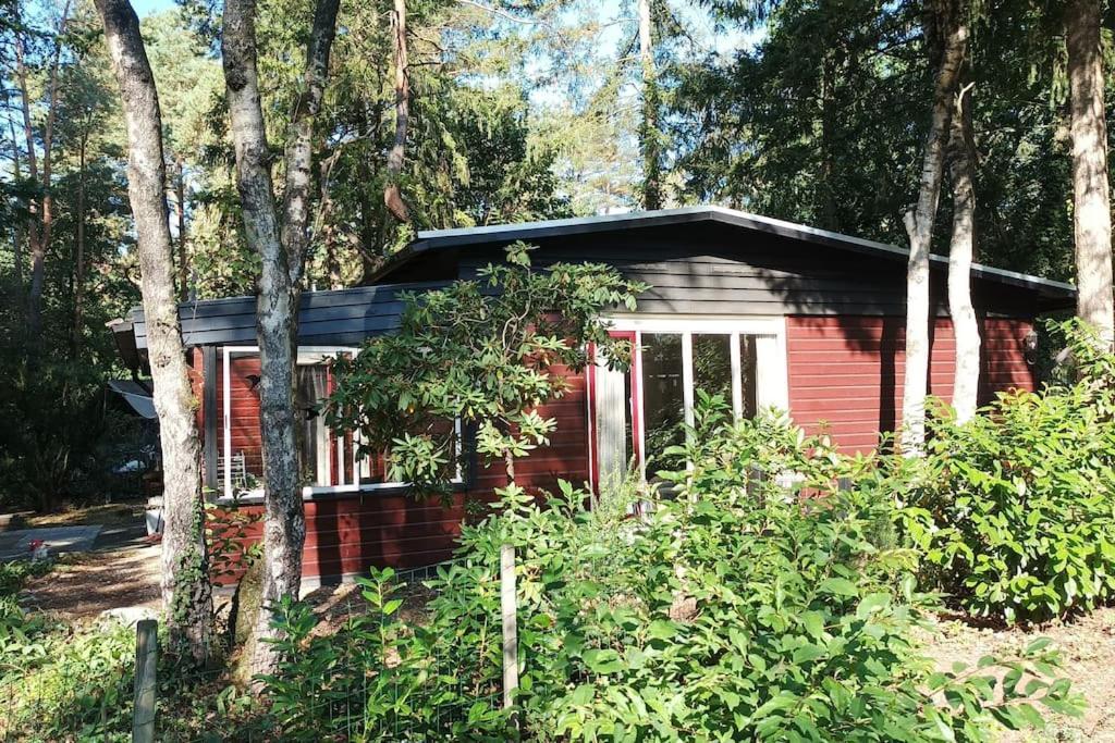 Bosbungalow de Eekhoorn Nunspeet Buitenkant foto