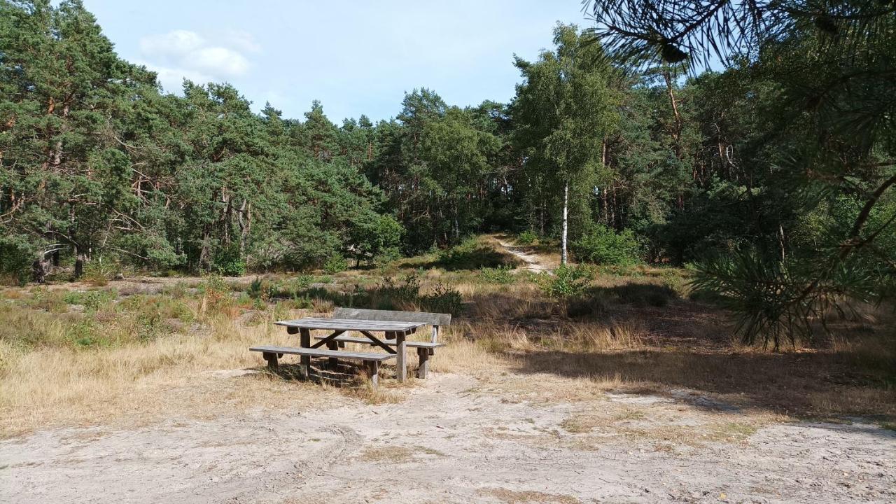 Bosbungalow de Eekhoorn Nunspeet Buitenkant foto