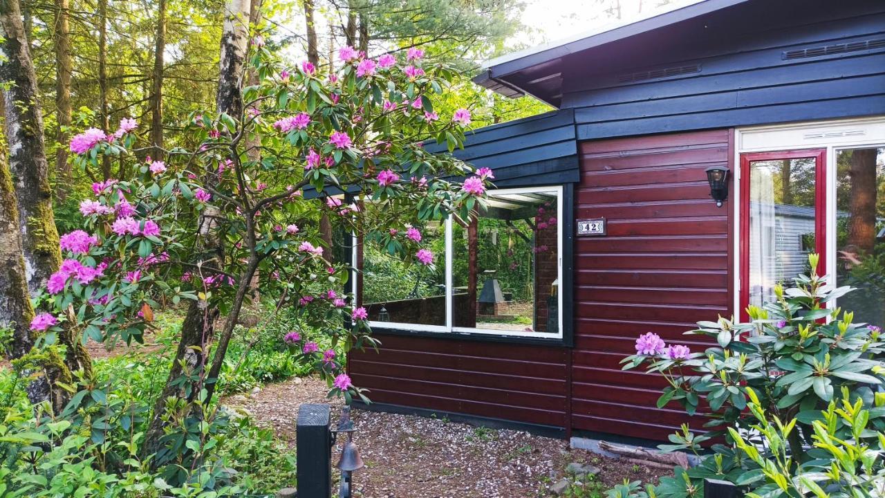 Bosbungalow de Eekhoorn Nunspeet Buitenkant foto